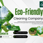 The Benefits of Eco-Friendly Cleaning: What It Is and Why It Matters