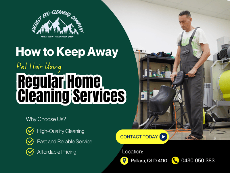 How to Keep Away Pet Hair Using Regular Home Cleaning Services in Brisbane